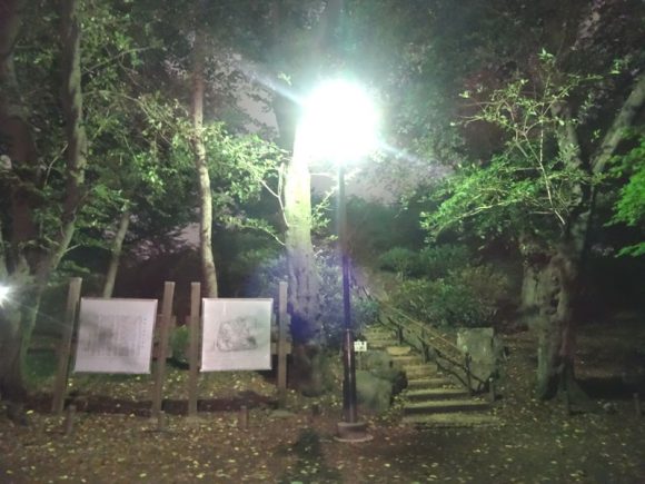 ペルセウス流星群を東京都内の新宿区戸山公園の箱根山で天体観測できるか、実際に行って見た