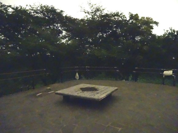 ペルセウス流星群を東京都内の新宿区戸山公園の箱根山で天体観測できるか、実際に行って見た