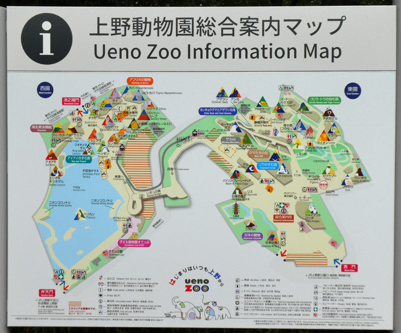 上野動物園のシャンシャンの待ち時間やへんないきもの ざんねんないきもの 珍獣が我が家へ 子供の成長絵日記