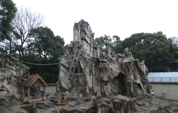 上野動物園のニホンザル。寒い日だったので、あまり動かず．．．