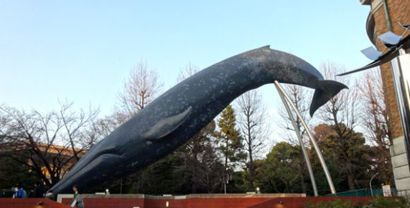 上野にある国立科学博物館の入り口にあるシロナガスクジラの巨大なオブジェ