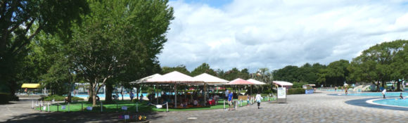 昭和記念公園のレインボープール・クローバープールの近くの休憩スペース